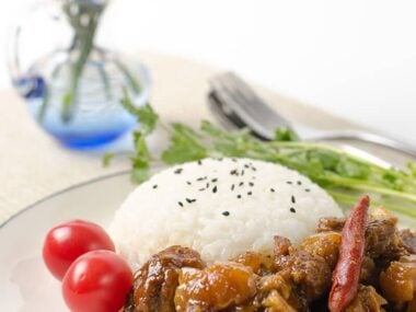 Mom's best beef stew with tendon | Omnivore's Cookbook