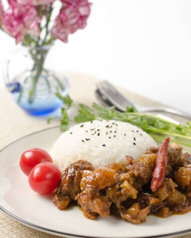 Mom's best beef stew with tendon | Omnivore's Cookbook