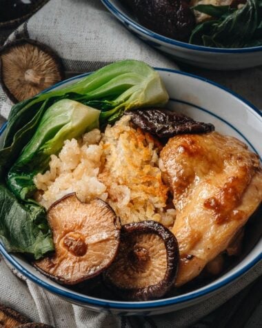 Clay pot chicken close up