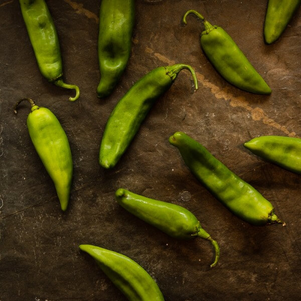 Szechuan Pan Fried Peppers (Tiger Skin Peppers, 虎皮尖椒) - These peppers are pan fried until blistered and tender, then cooked in a sour, savory sauce. A great vegan dish that is hot, flavorful, and appetizing! | www.nrtjwh.eu.org