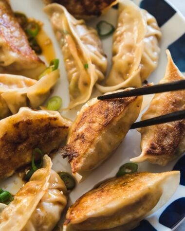 Carrot Dumplings - An elegant vegetarian dumpling that uses carrots, bamboo shoots, mushrooms, and eggs to create a fresh, moist, and rich filling.