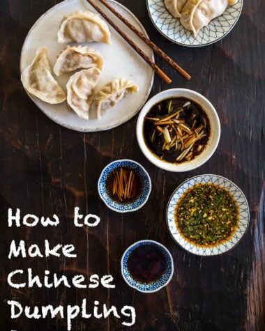 Four Chinese dumpling sauce recipes from northern to southern China. You won&rsquo;t go wrong with any of them!