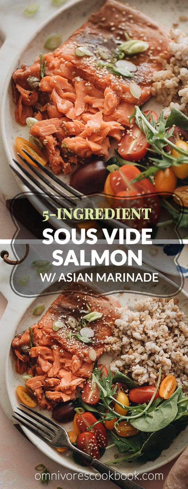 5-Ingredient Sous-Vide Salmon with Asian Sauce - cooking moist, tender, and flaky salmon in a rich Asian sauce without marinating. #ad #FoodSaverSousVide #simple #fillet #recipes #healthy