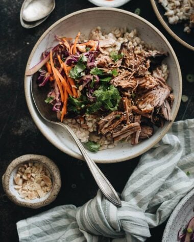 Asian Instant Pot pulled pork served on steamed brown rice and coleslaw
