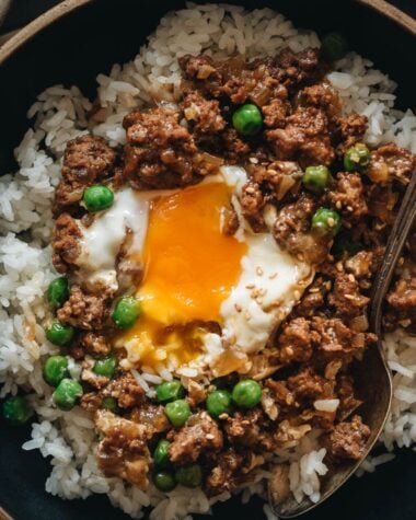 Cantonese ground beef bowl close-up