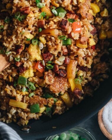 Ham fried rice close-up