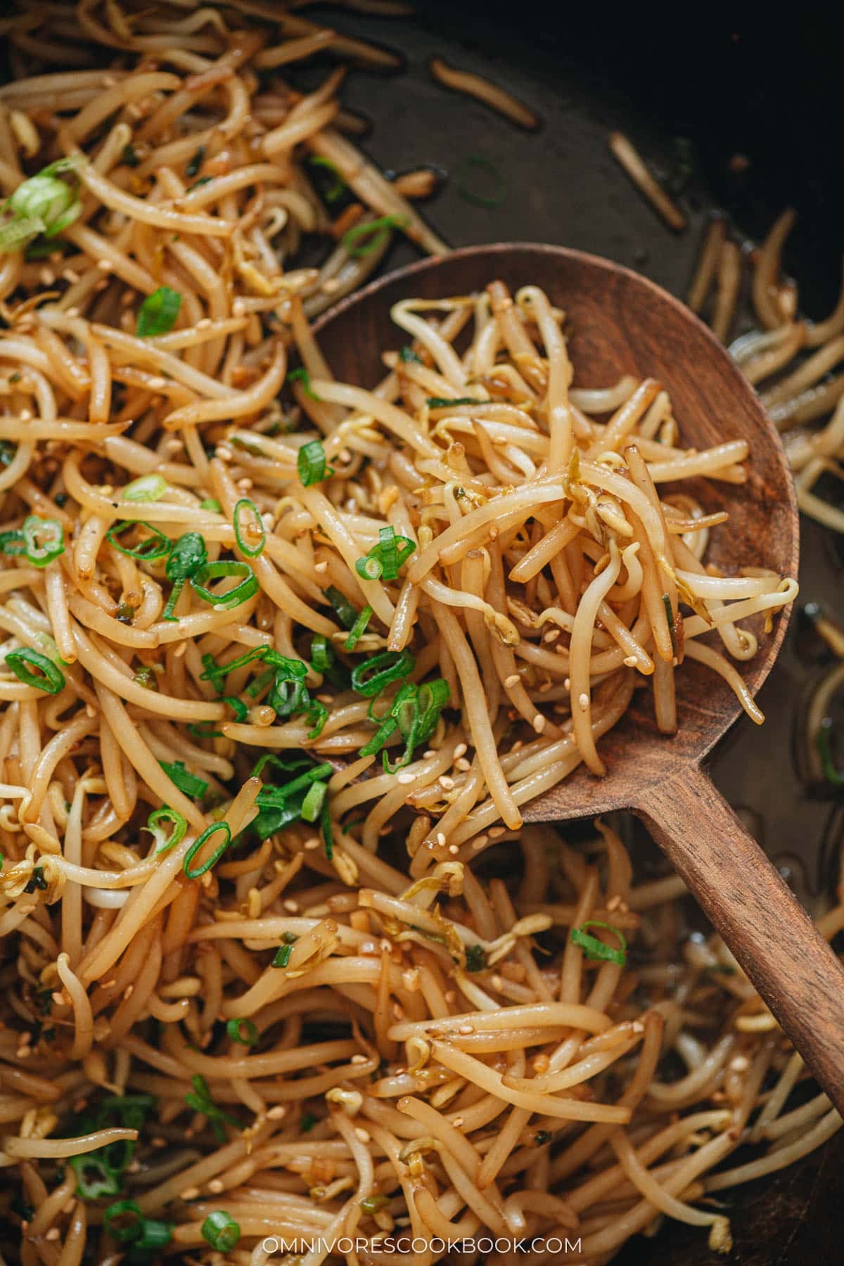 Bean sprout stir fry close up