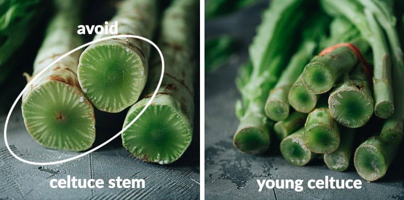 How to purchase celtuce