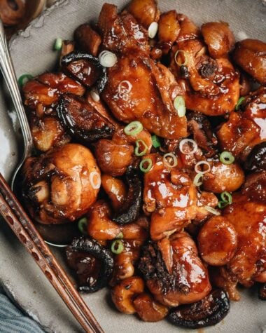 Braised chicken closeup