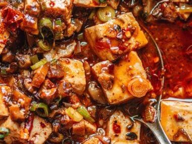 Chinese vegetarian mapo tofu close up