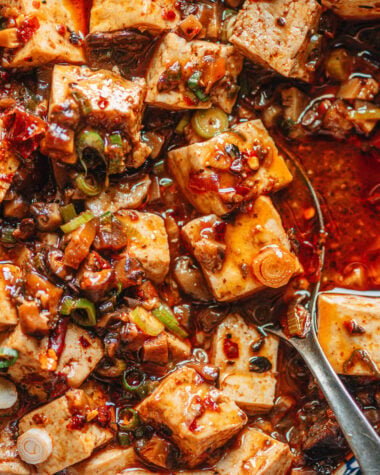 Chinese vegetarian mapo tofu close up
