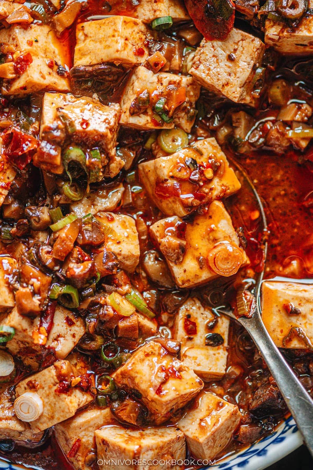 Chinese vegetarian mapo tofu close up