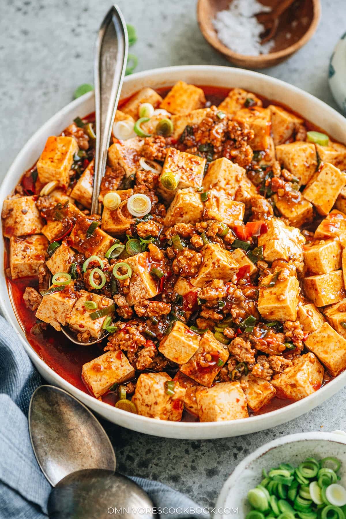 Mapo tofu with ground pork served in a plate