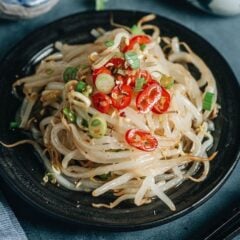 An easy bean sprout salad recipe that is perfect for summer and helps you eat a lot of bean sprouts! The crunchy bean sprouts are tossed with a lot of garlic and a savory sauce that is slightly sour and nutty. It is refreshing yet very flavorful. {Gluten-Free Adaptable, Vegan}