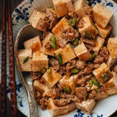 Tofu with minced pork close up