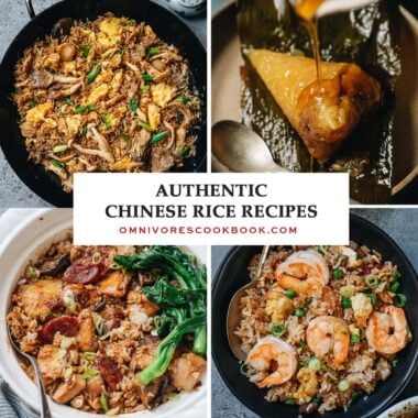 A collage of authentic Chinese rice dishes