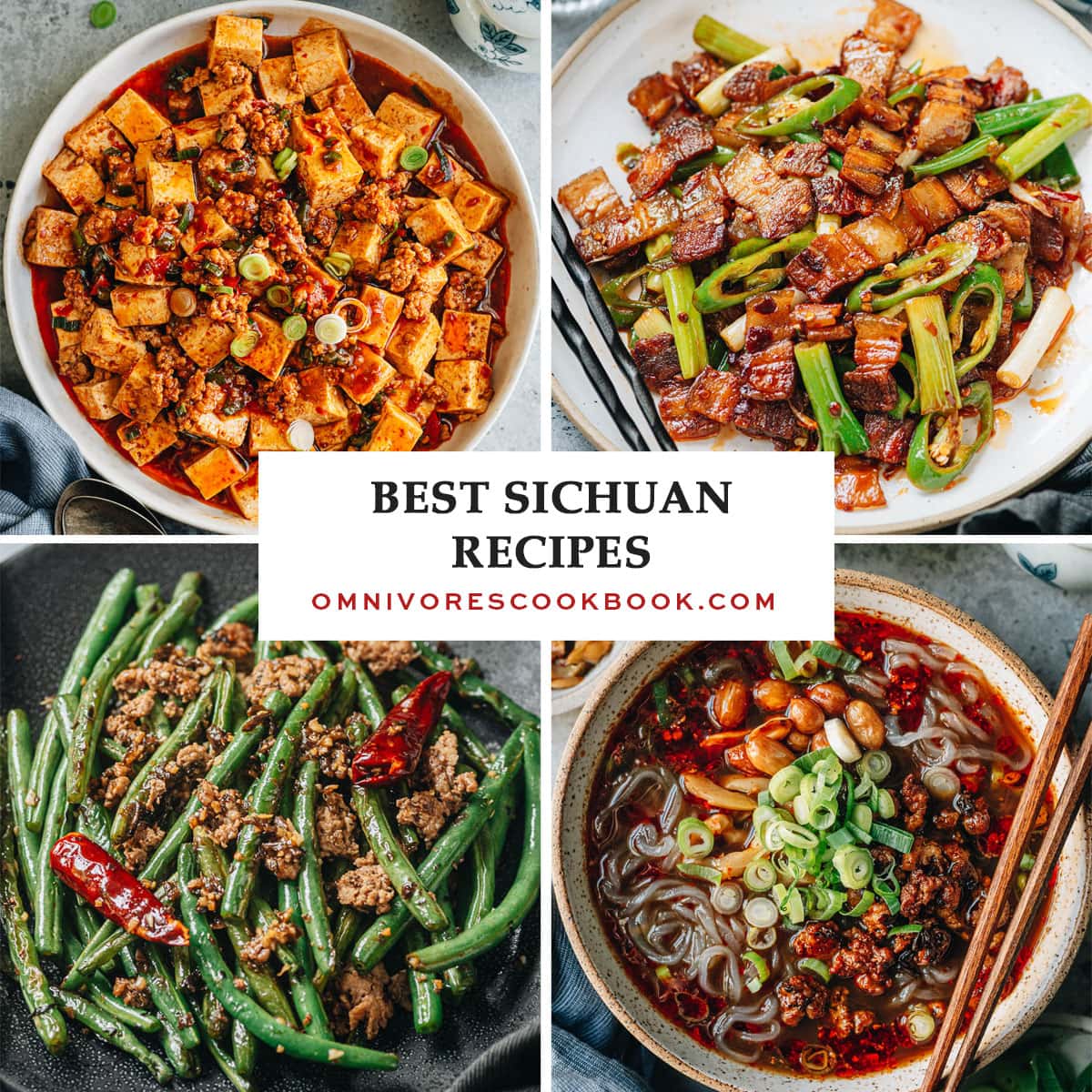 A collage of Sichuan dishes