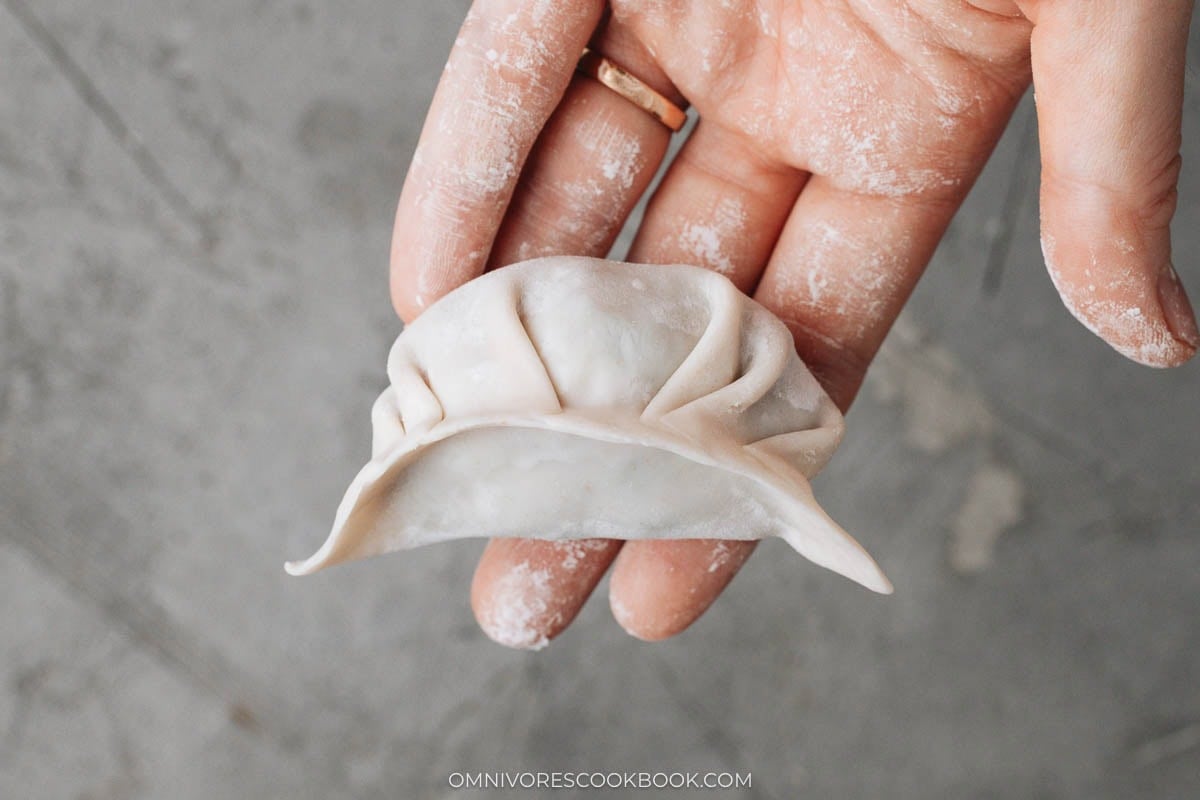 finished dumpling