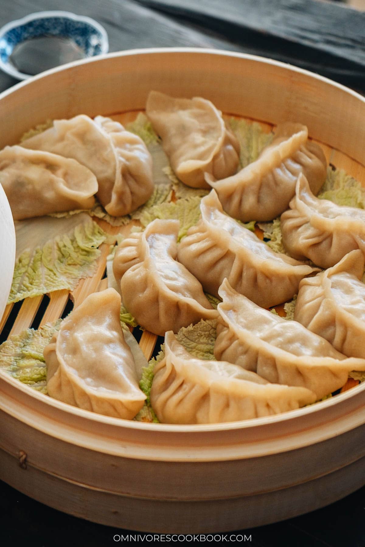 pork dumplings on napa cabbage