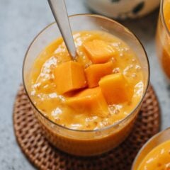 mango sago